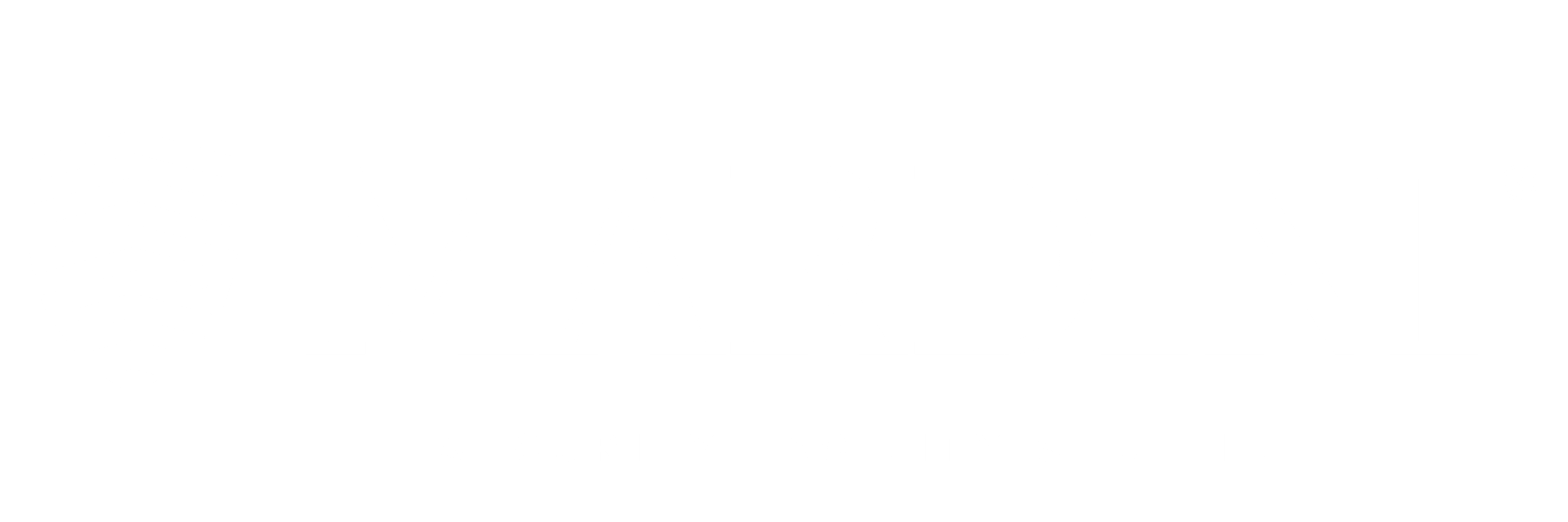 Mardini Security